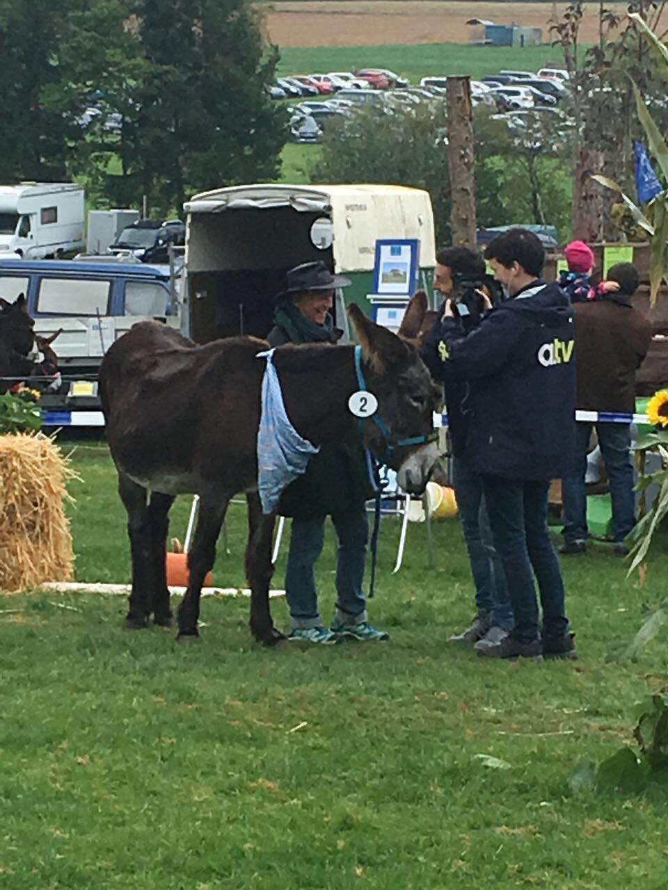 Eselreiten Bauern- u. Handwerkermarkt 2017